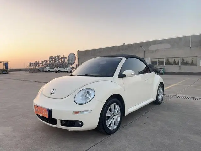 VOLKSWAGEN BEETLE 2009, VIN WVWSC51Y6AM000421