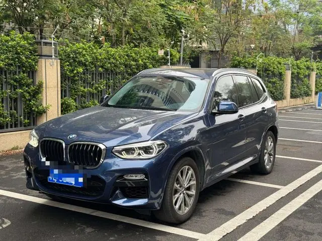 BMW X3 2019, VIN LBVTZ0103KSS02417