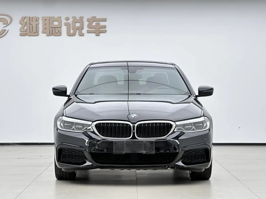 2020 BMW 5ER VIN LBVKY9107LSW60899 — фото 2