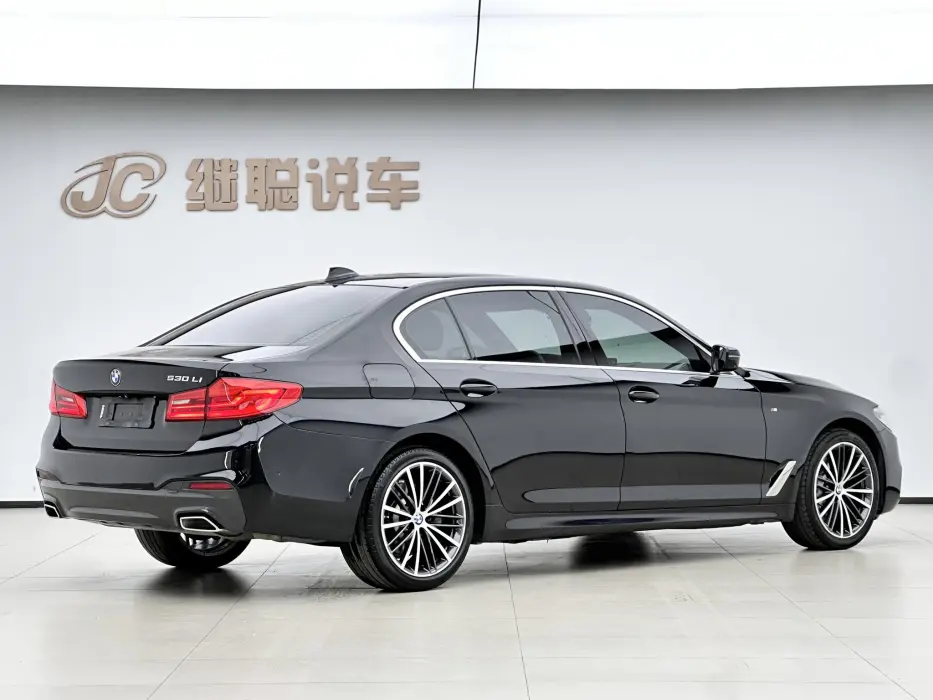 2020 BMW 5ER VIN LBVKY9107LSW60899 — фото 4