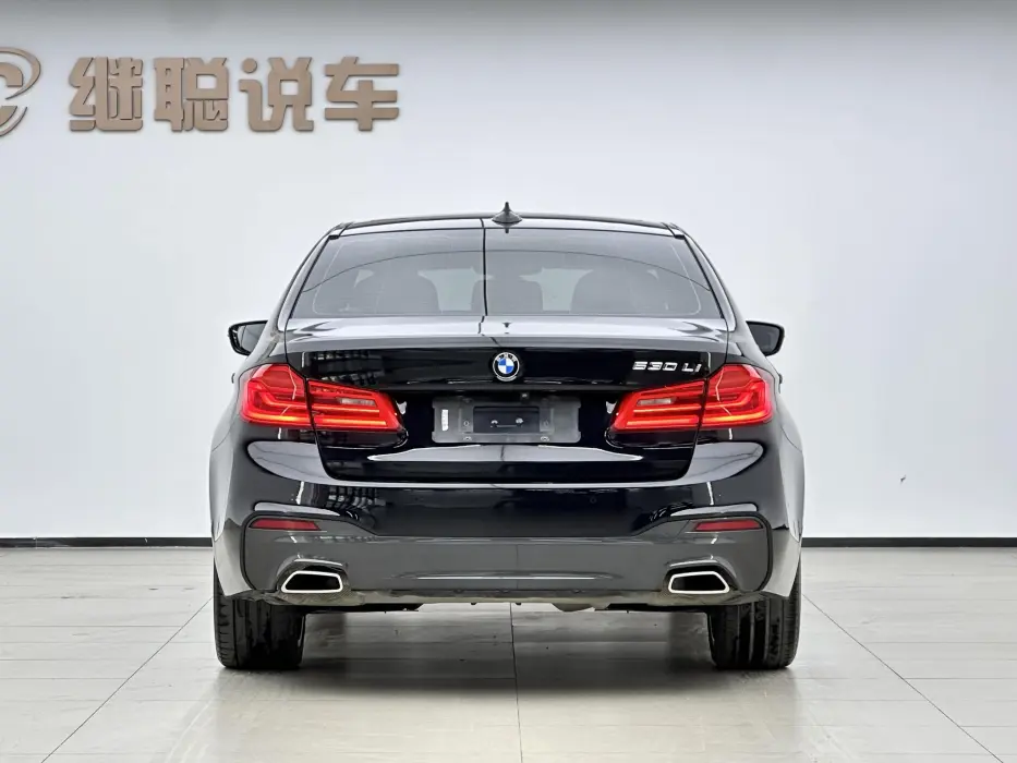 2020 BMW 5ER VIN LBVKY9107LSW60899 — фото 5