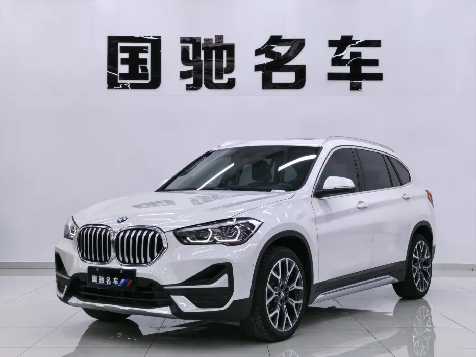 BMW X1 2020, VIN LBVHY7108LMX74462