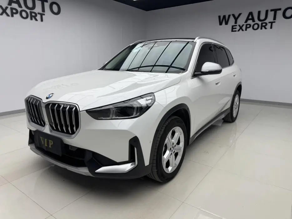 BMW X1 2023, VIN LBV11FX04RM703050