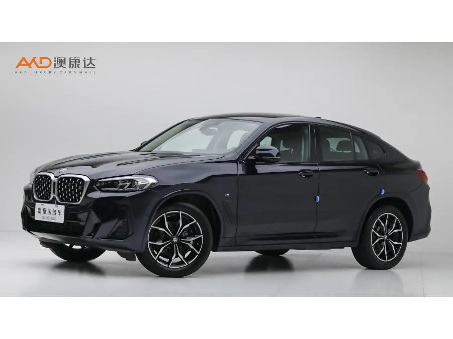 BMW X4 2024, VIN N/A