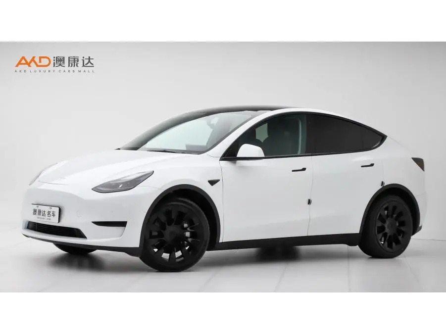 TESLA MODEL Y 2022, VIN N/A