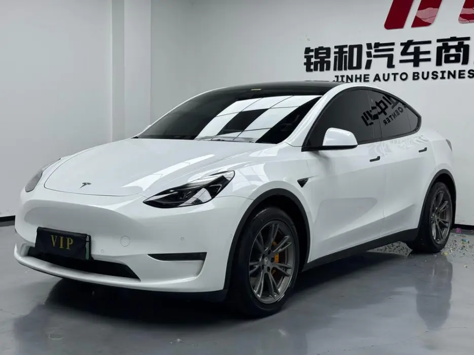 TESLA MODEL Y 2021, VIN N/A