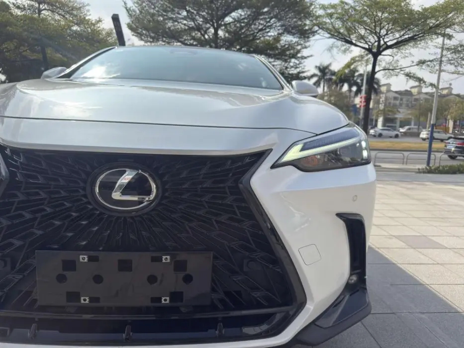 2022 LEXUS NX VIN JTJCDCGZ5M2000896 — фото 11
