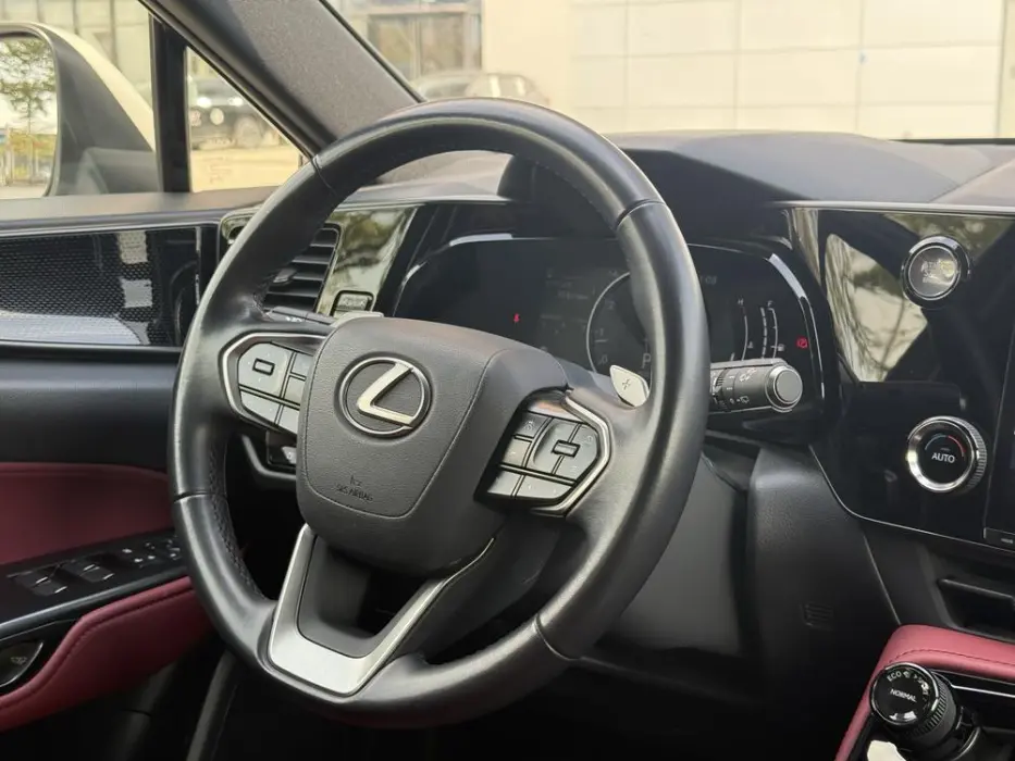 2022 LEXUS NX VIN JTJCDCGZ5M2000896 — фото 17