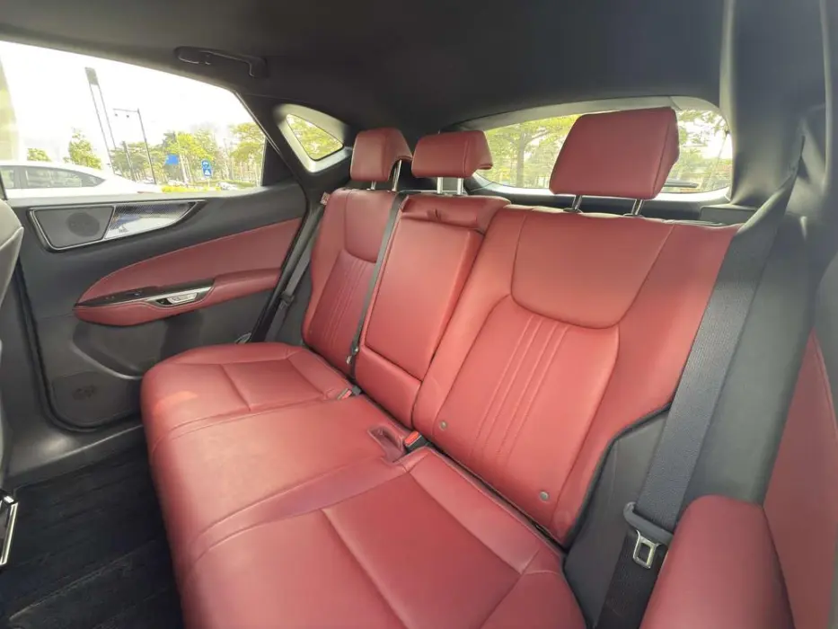 2022 LEXUS NX VIN JTJCDCGZ5M2000896 — фото 21