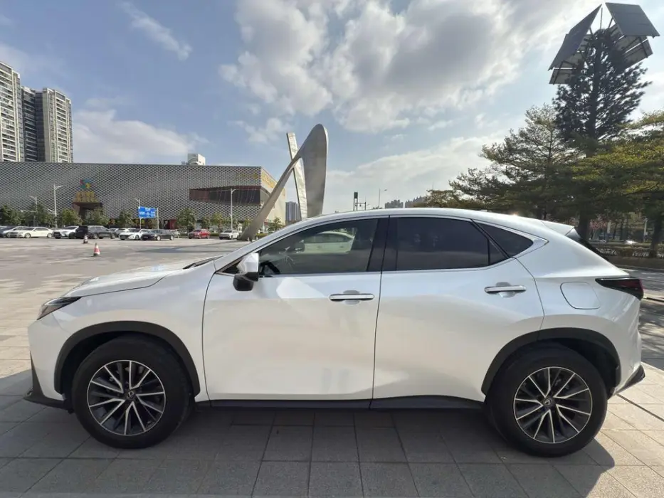 2022 LEXUS NX VIN JTJCDCGZ5M2000896 — фото 4