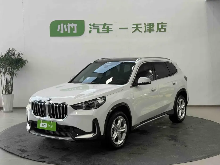 BMW X1 2024, VIN LBV11FX00RM701781