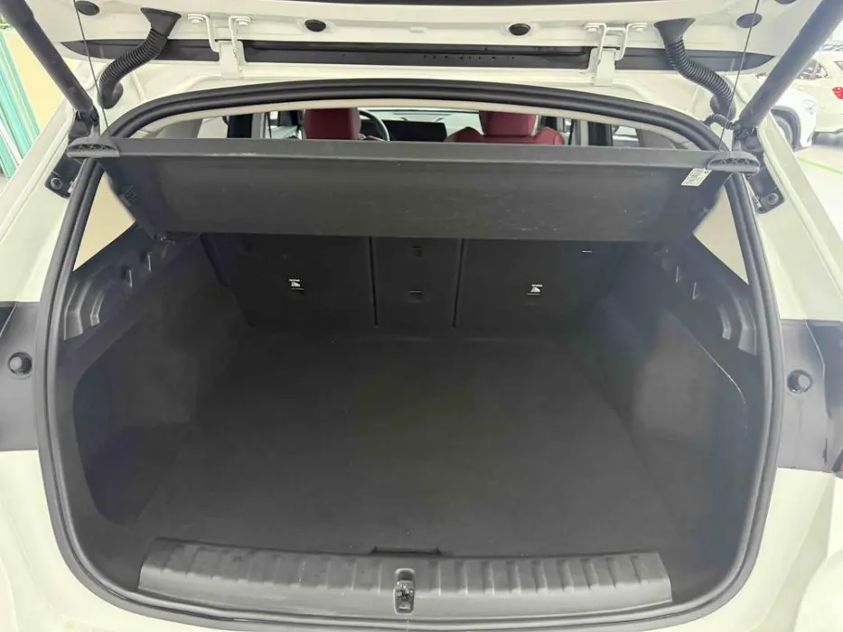2024 BMW X1 VIN LBV11FX00RM701781 — фото 23
