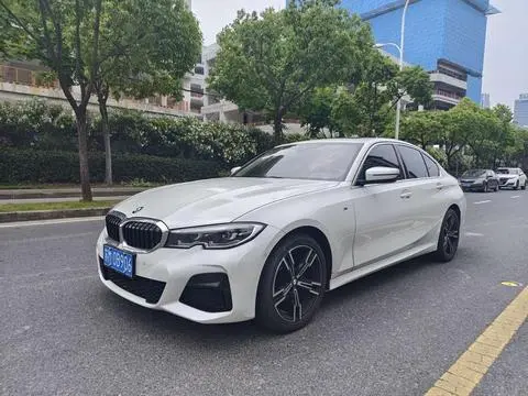 BMW 3ER 2020, VIN LBV5F3409MMY48552