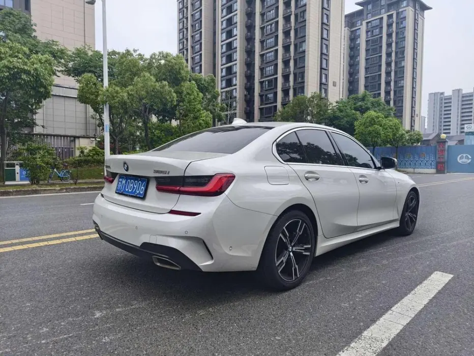 2020 BMW 3ER VIN LBV5F3409MMY48552 — фото 6