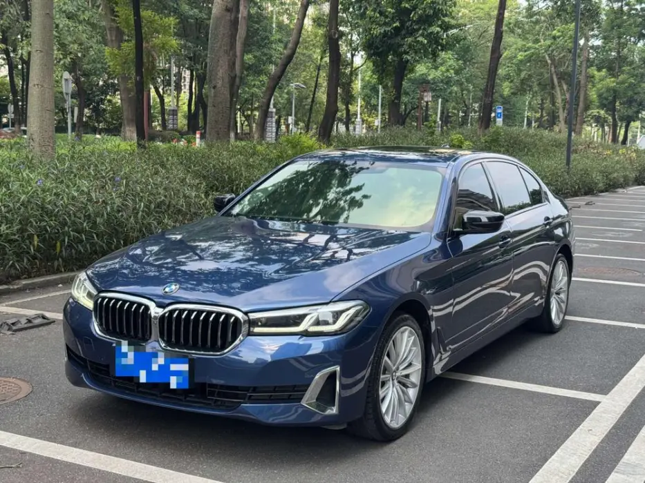 BMW 5ER 2020, VIN N/A
