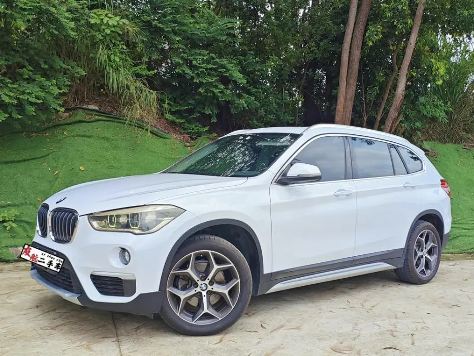 BMW X1 2019, VIN N/A