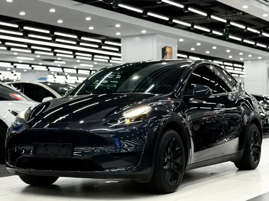 TESLA MODEL Y 2024, VIN N/A
