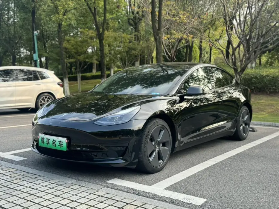 TESLA MODEL 3 2021, VIN N/A