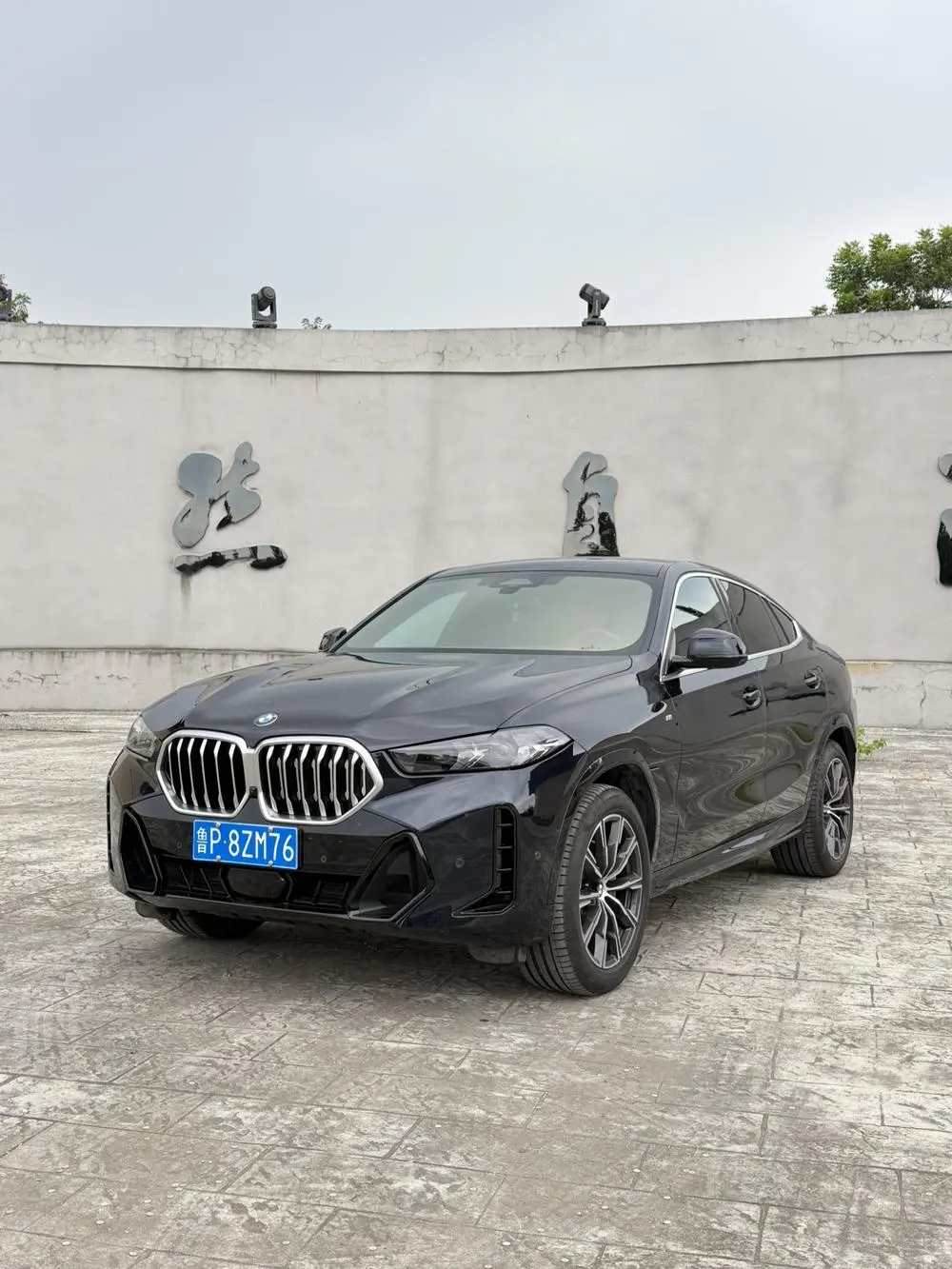 BMW X6 2024, VIN N/A