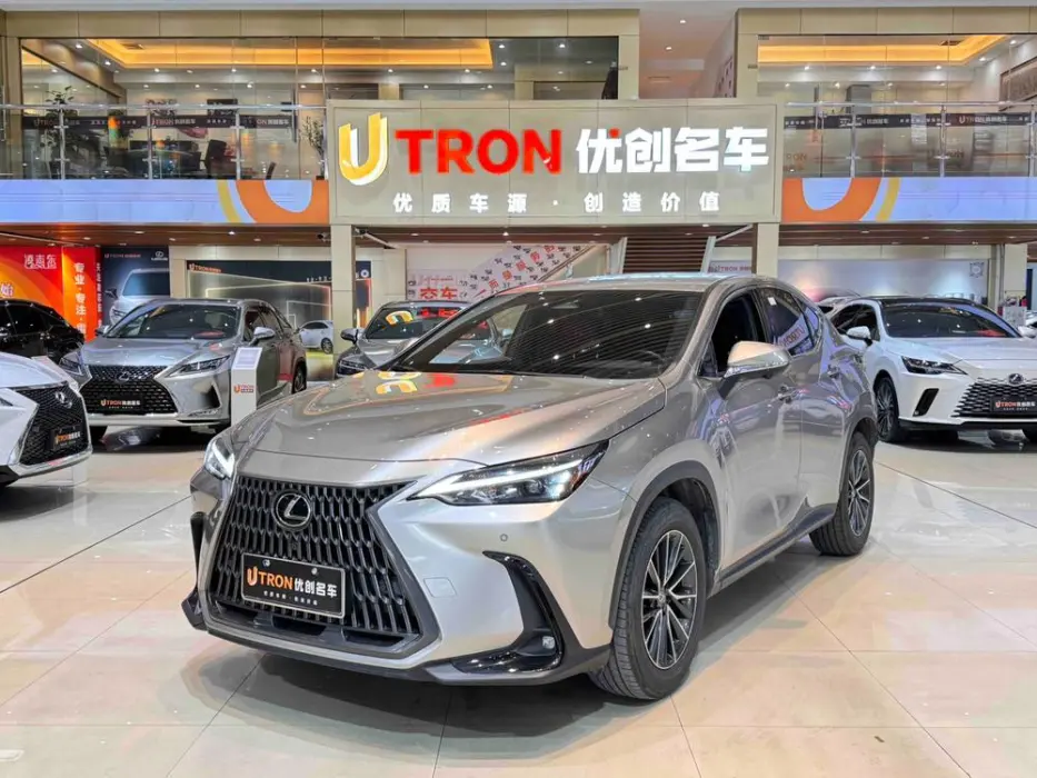 LEXUS NX 2024, VIN N/A