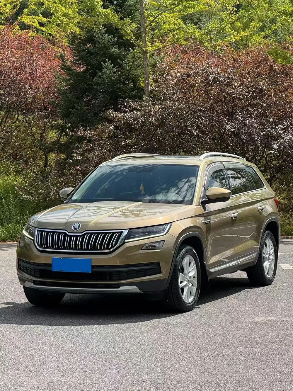 SKODA KODIAQ 2017, VIN N/A