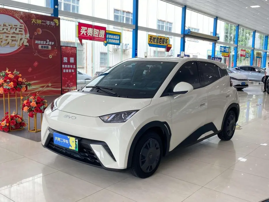 BYD SEAGULL 2024, VIN N/A