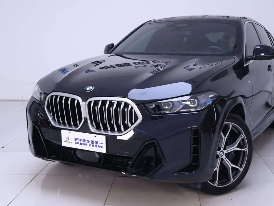 2024 BMW X6 VIN WBA11EX00R9U72502 — фото 14