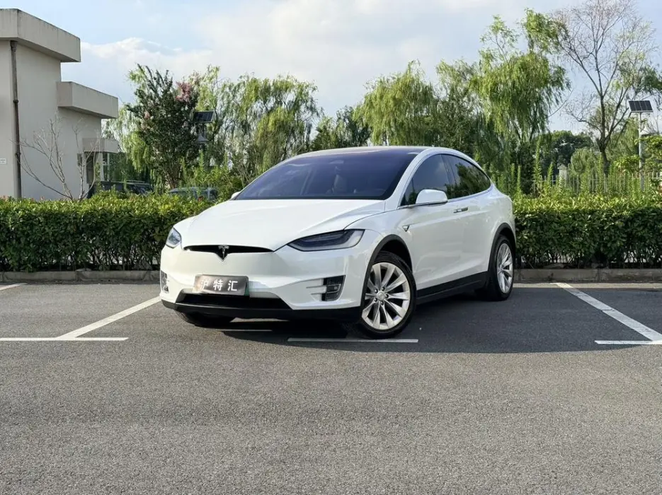 TESLA MODEL X 2019, VIN N/A