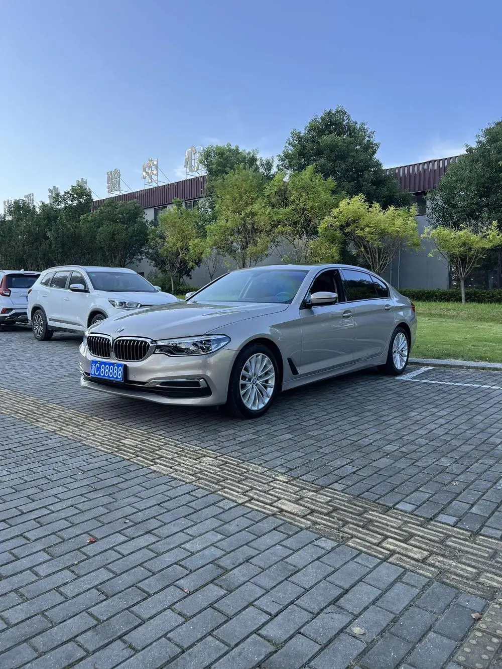 BMW 5ER 2019, VIN N/A