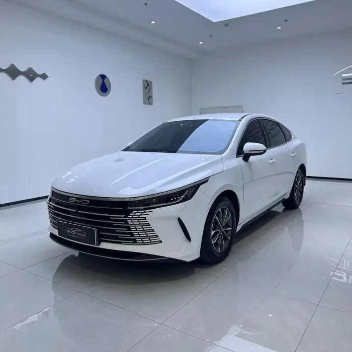 BYD DESTROYER 2024, VIN N/A