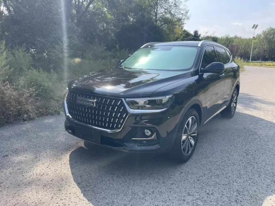 HAVAL H6 2024, VIN N/A