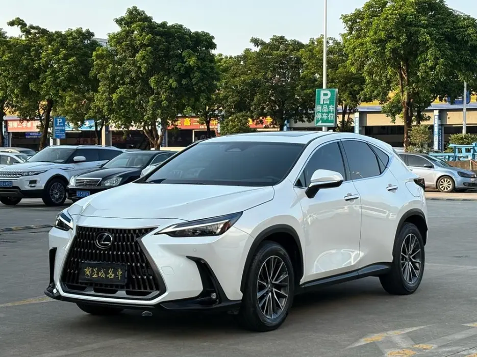 LEXUS NX 2024, VIN N/A
