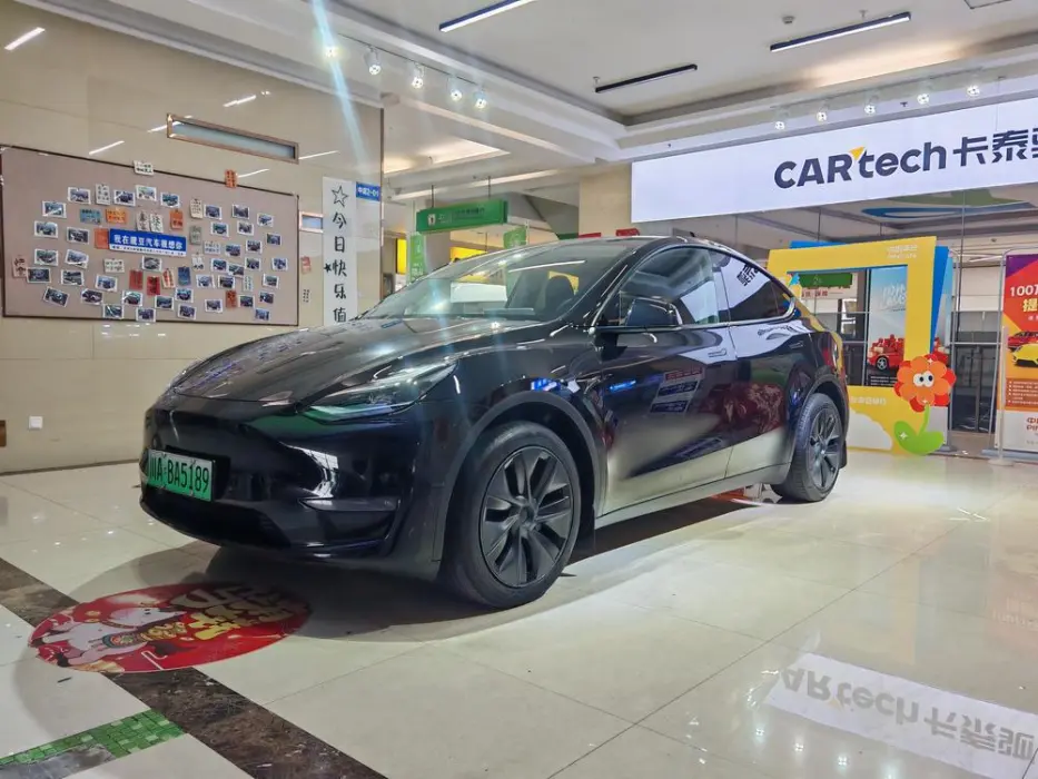 TESLA MODEL Y 2024, VIN N/A