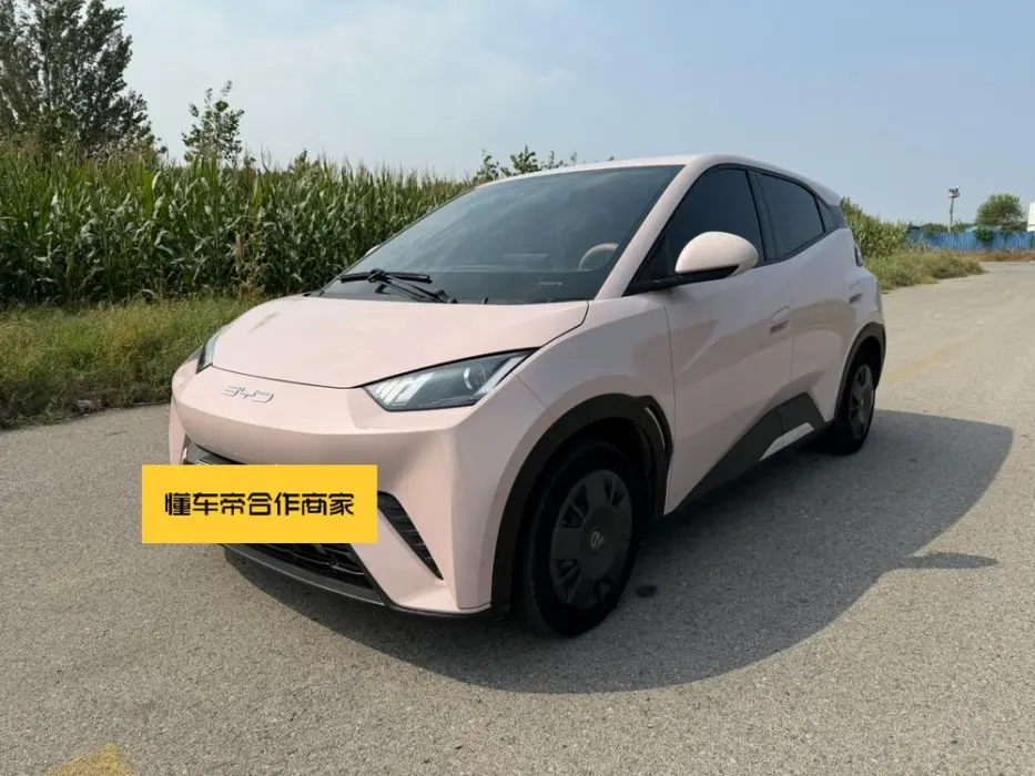 BYD SEAGULL 2024, VIN N/A