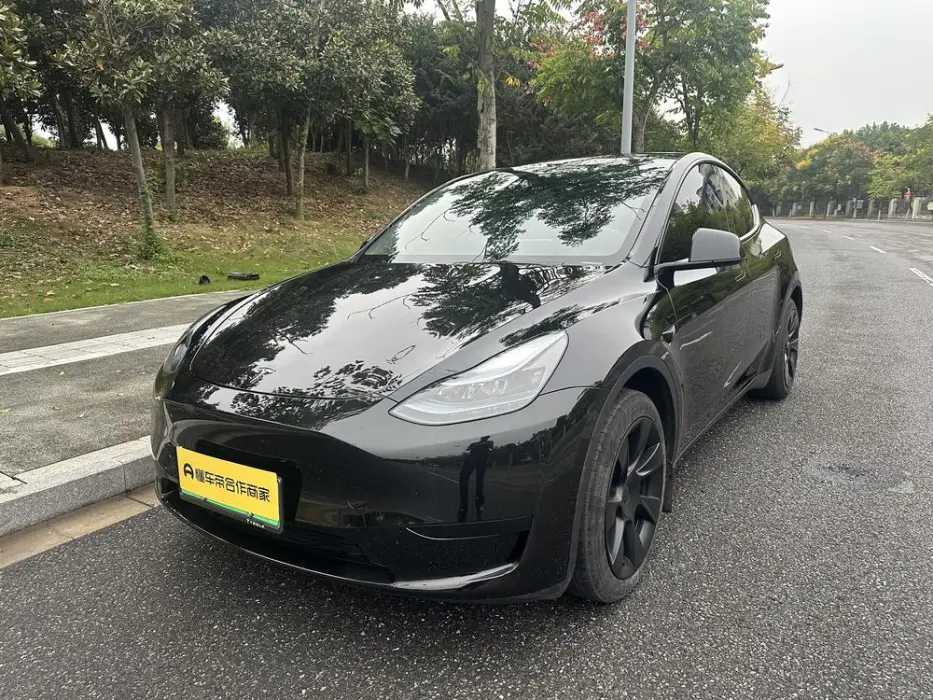 TESLA MODEL Y 2024, VIN N/A