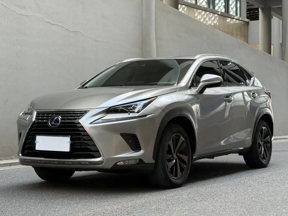 LEXUS NX 2019, VIN N/A