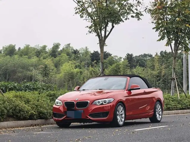 BMW 2ER 2018, VIN N/A