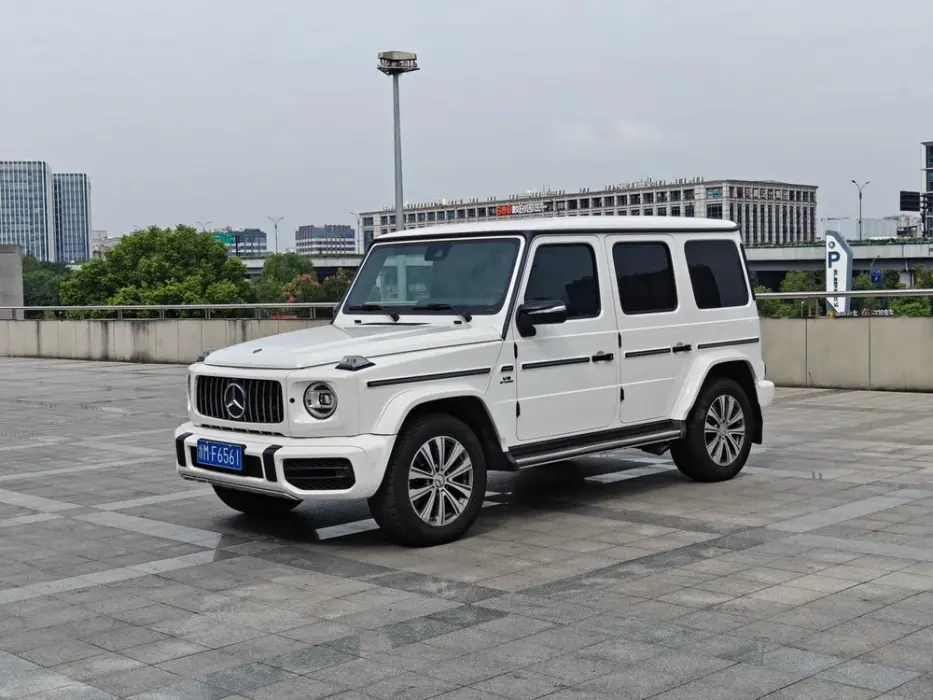 MERCEDES-BENZ G-KLASSE 2019, VIN N/A