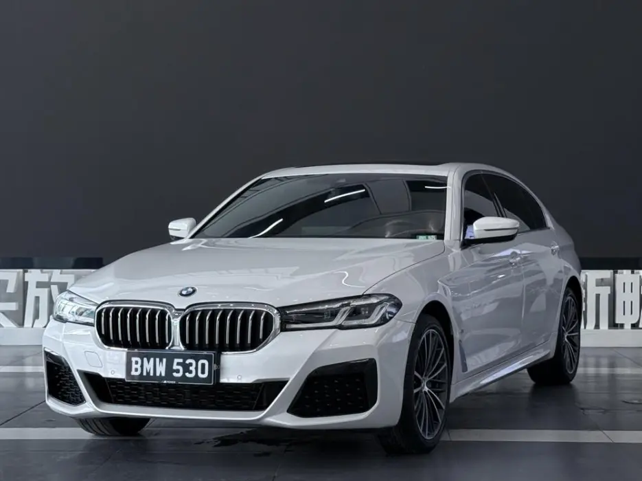 BMW 5ER 2023, VIN LBV61AF01PSB69205