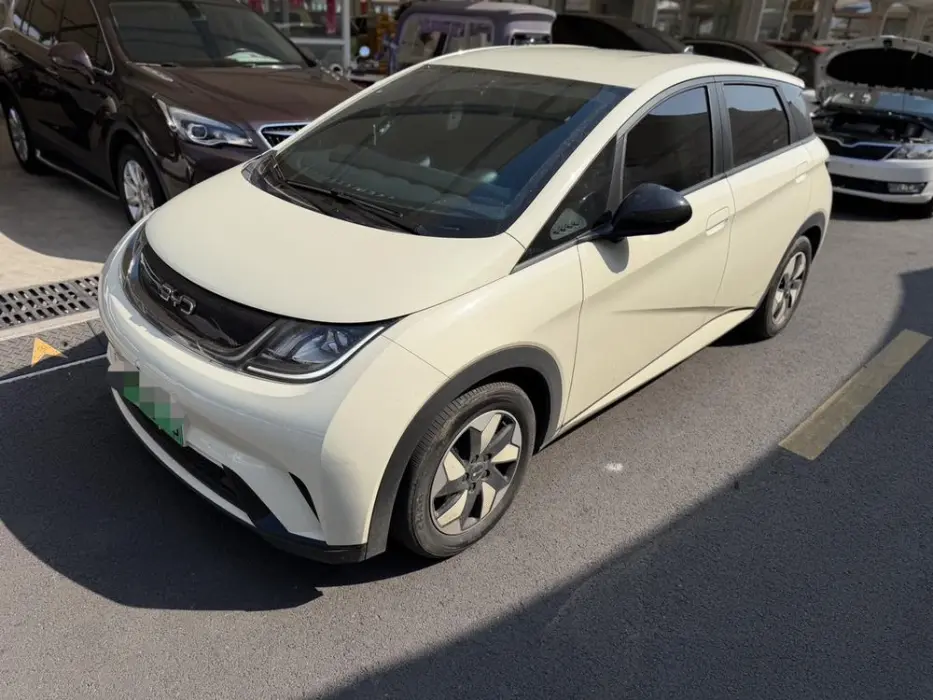 BYD DOLPHIN 2024, VIN N/A