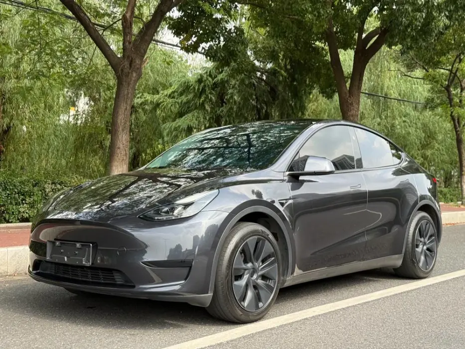 TESLA MODEL Y 2024, VIN N/A