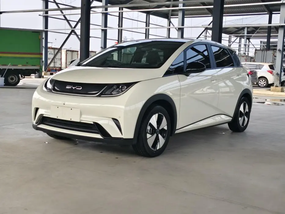 BYD DOLPHIN 2023, VIN N/A