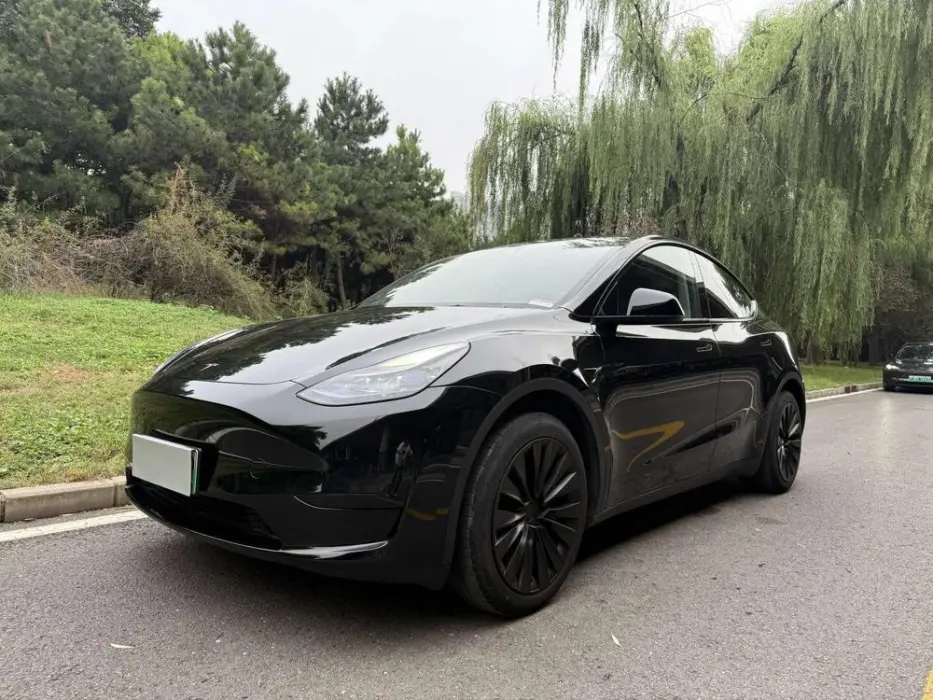 TESLA MODEL Y 2024, VIN N/A