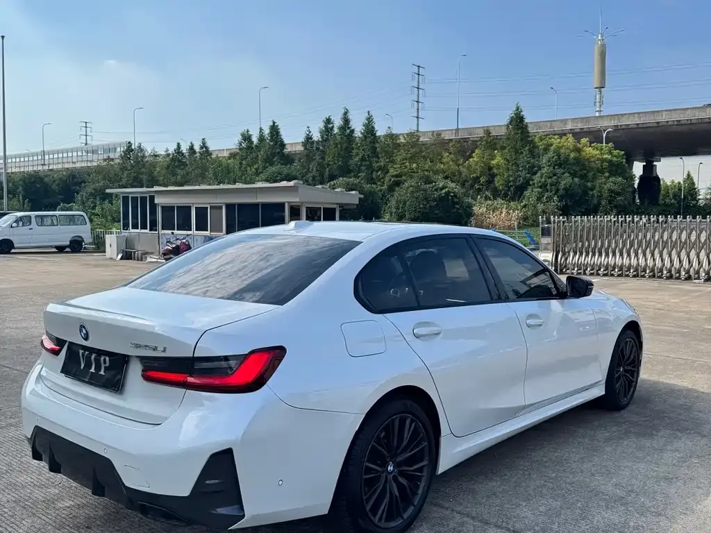 2024 BMW 3ER VIN LBV31FH01RM920692 — фото 10
