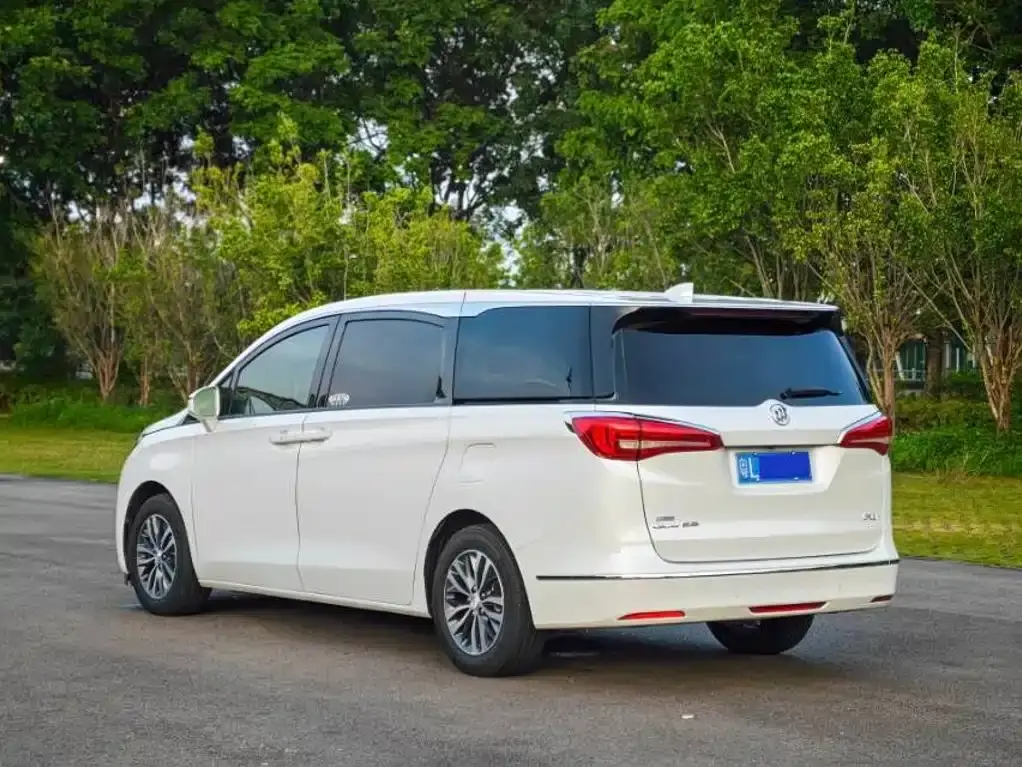 2019 BUICK GL8 VIN LSGUL83L2KA148861 — фото 13
