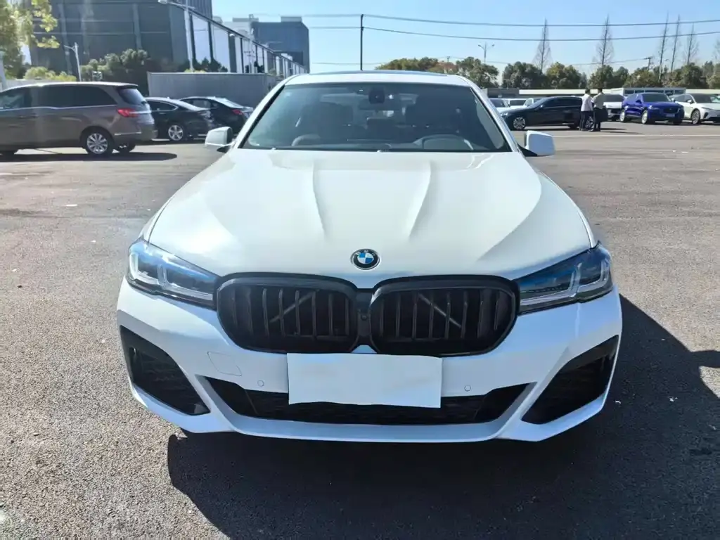 BMW 5ER 2011, VIN N/A
