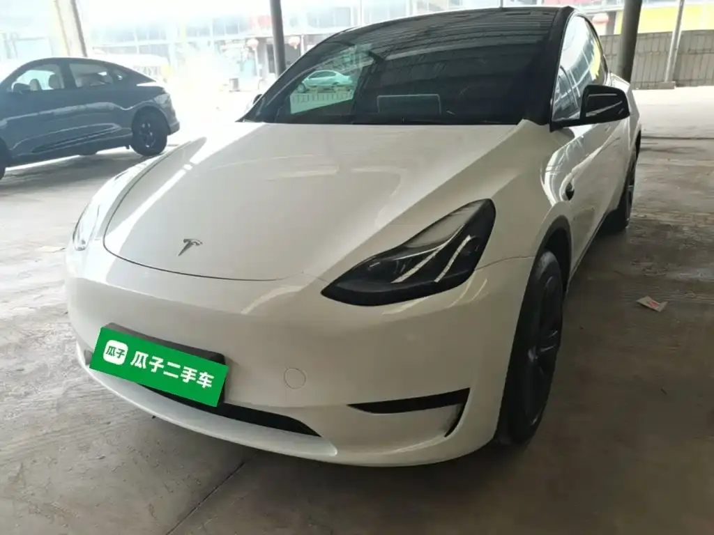 TESLA MODEL Y 2024, VIN N/A